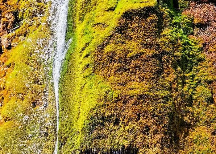 דירה Eifel Panoramablick *